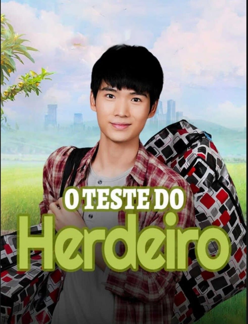 Capa de O Teste Do Herdeiro