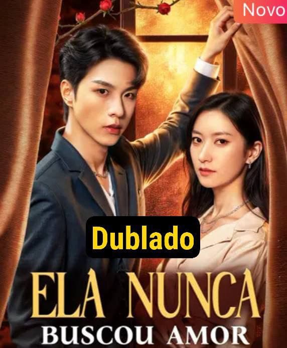 Capa de ELA NUNCA BUSCOU AMOR