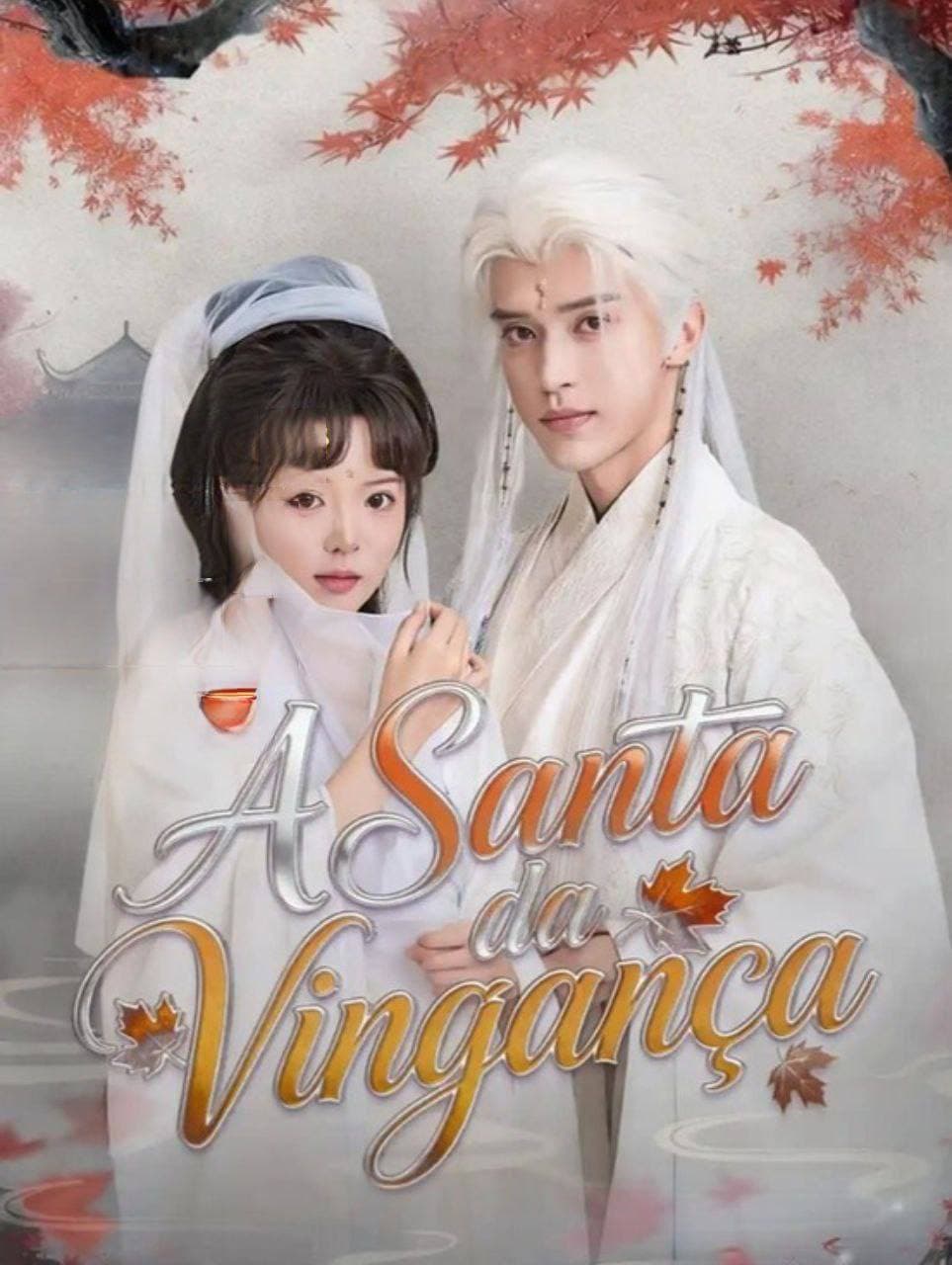 Capa de A Santa Da Vingança