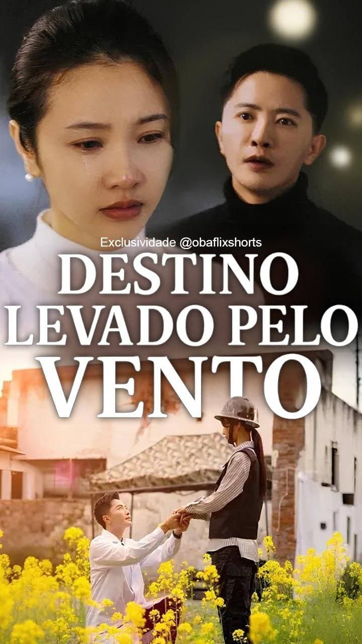 Capa de Destino Levado Pelo Vento
