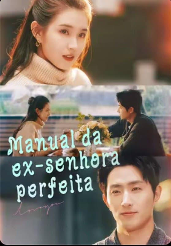 Capa de Manual Da Ex Senhora Perfeita