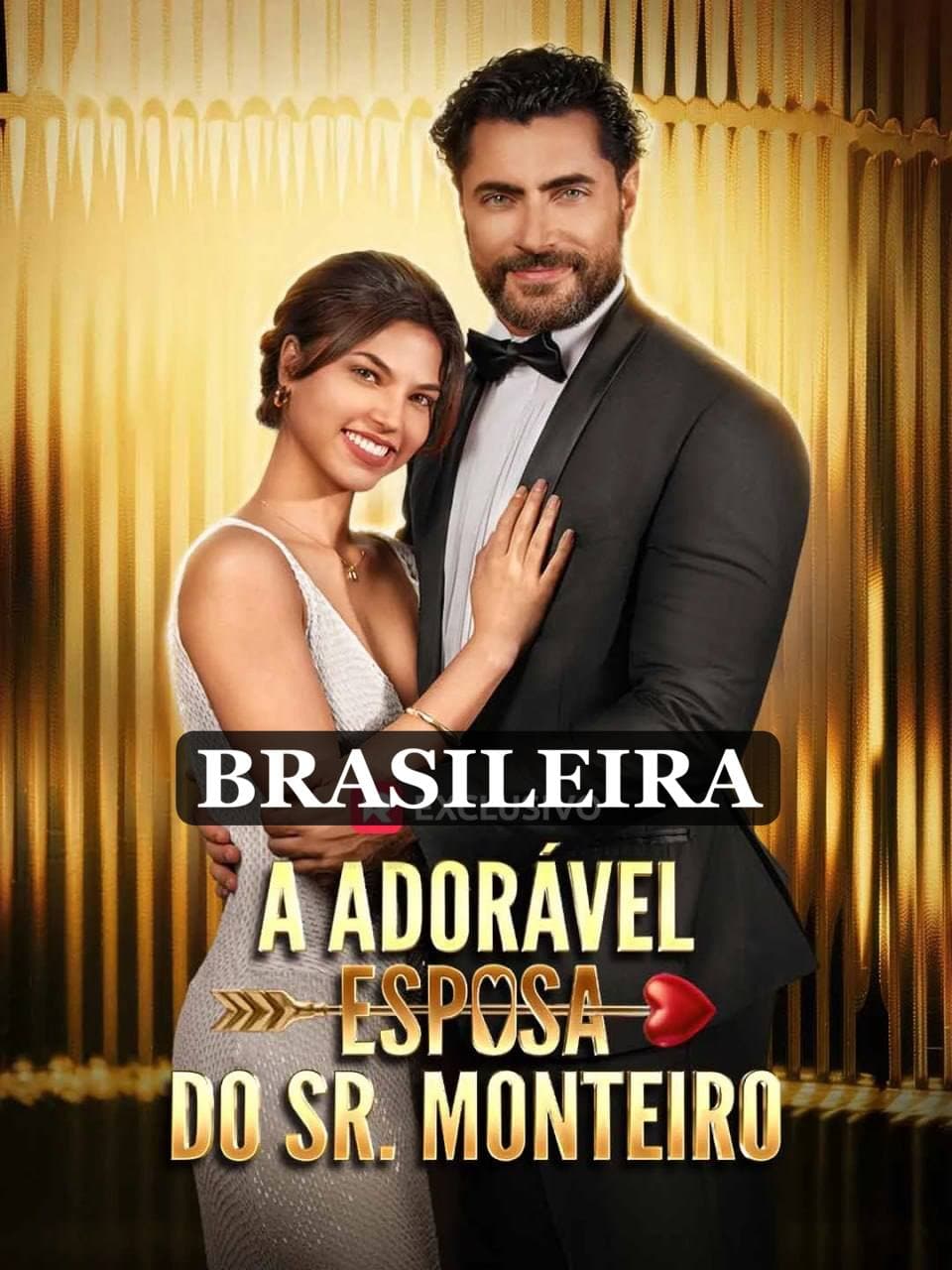 Capa de A ADORÁVEL ESPOSA DO SR MONTEIRO