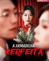 Capa de A Armadilha Perfeita