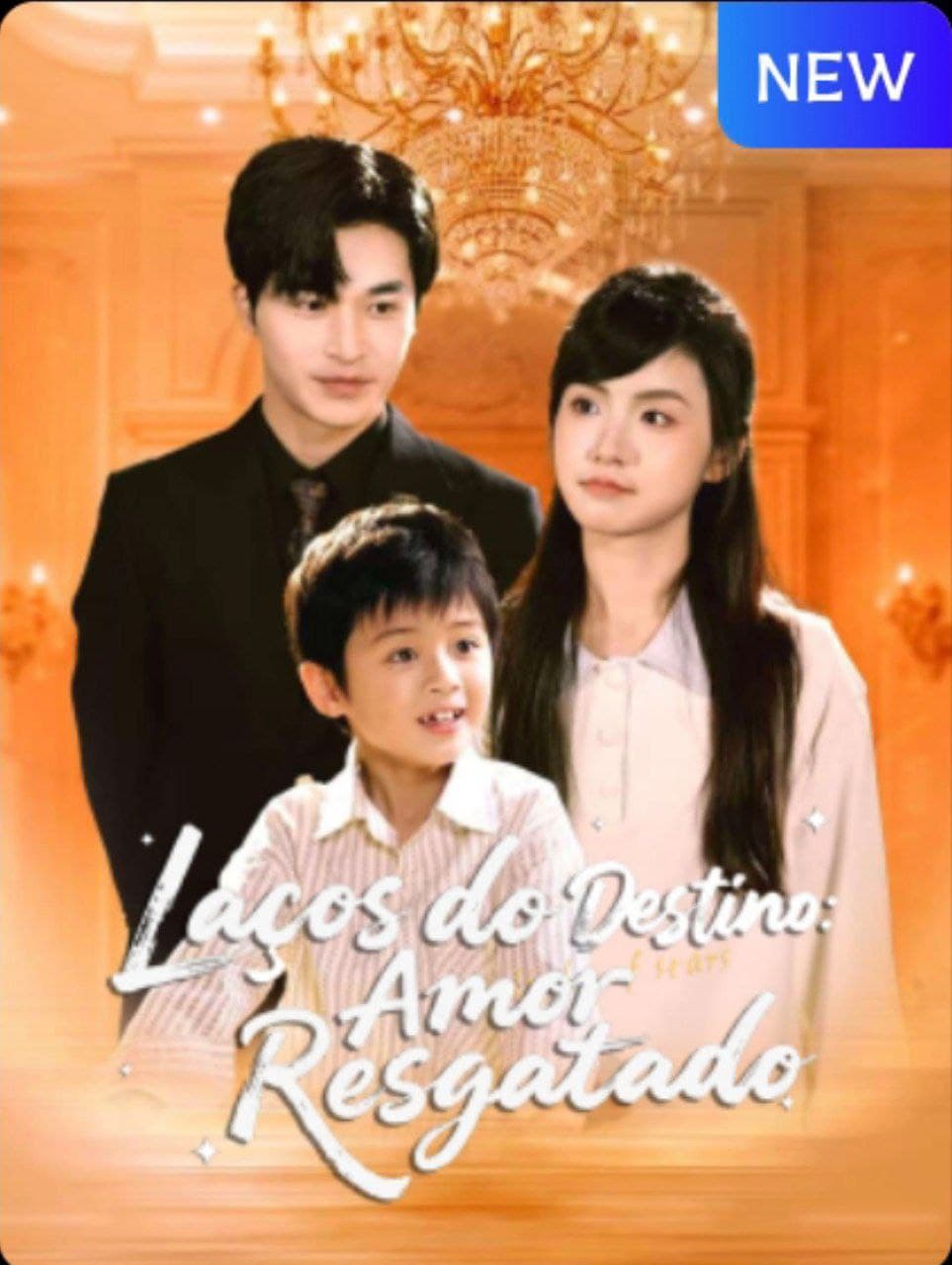 Capa de LAÇOS DO DESTINO AMOR RESGATADO