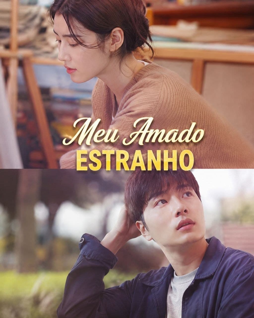 Capa de MEU AMADO ESTRANHO