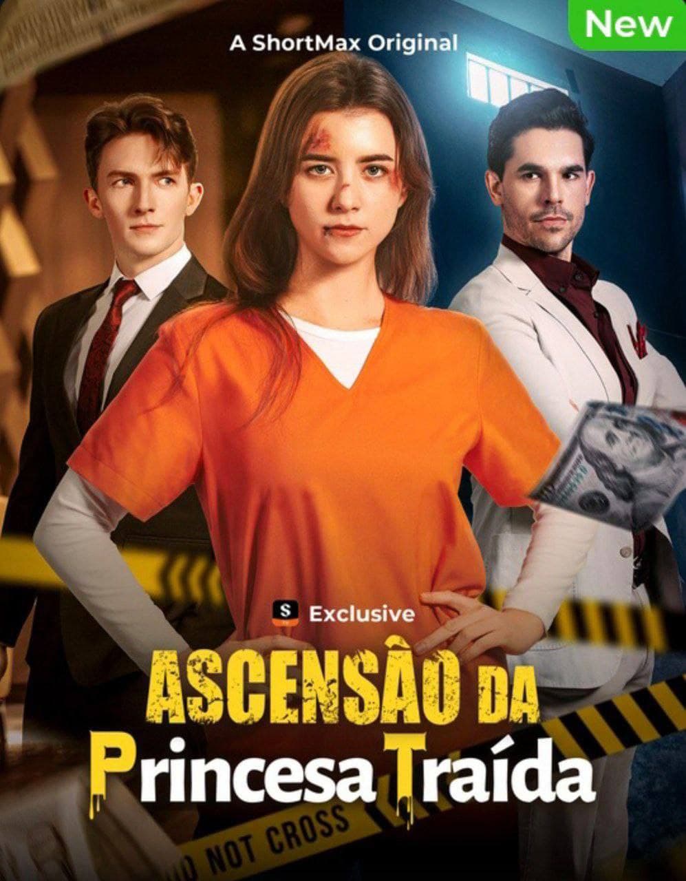 Capa de A Ascensão Da Princesa Traída