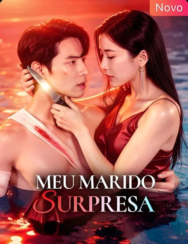 Capa de Meu Marido Surpresa