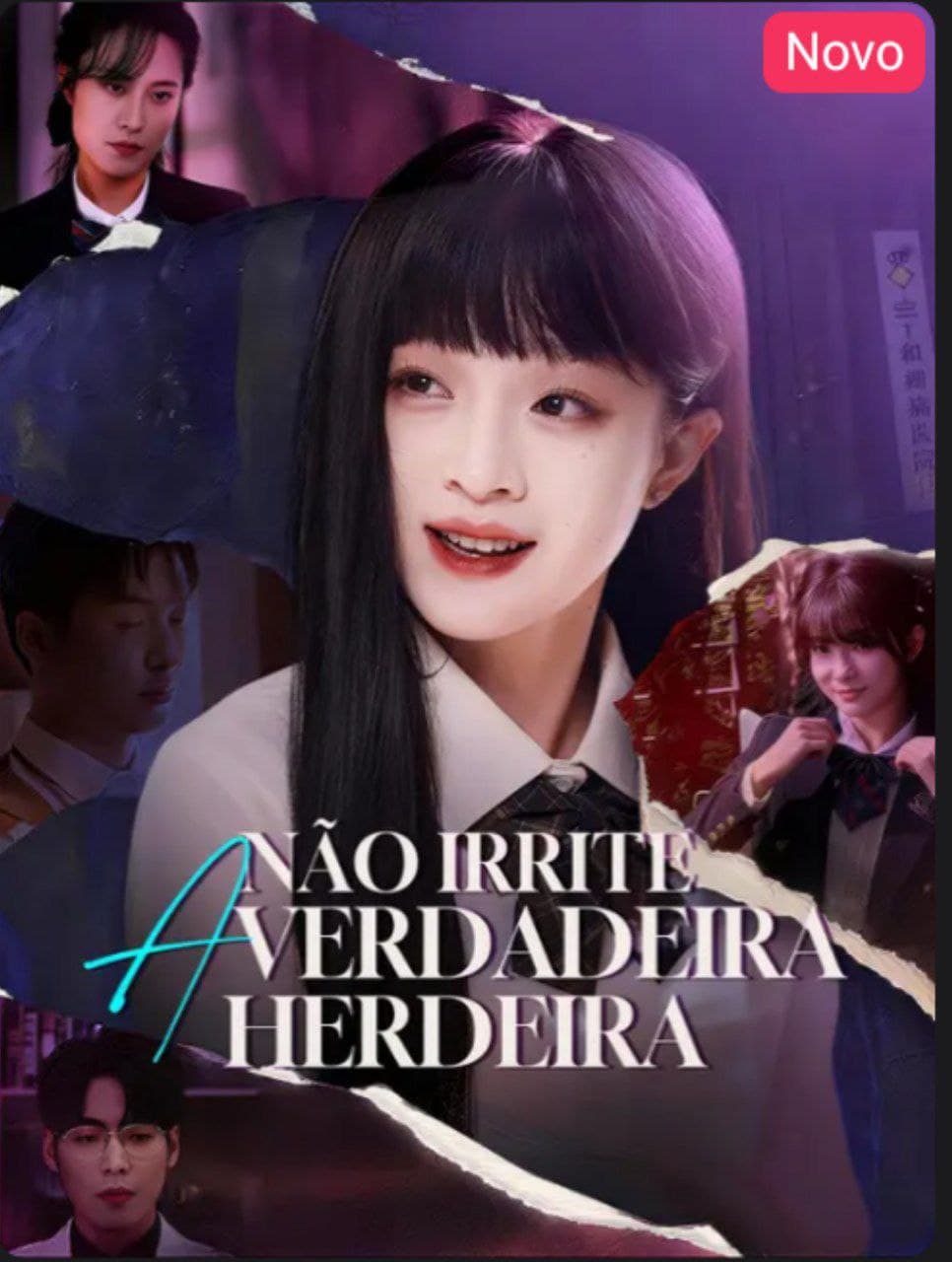 Capa de NÃO IRRITE A VERDADEIRA HERDEIRA