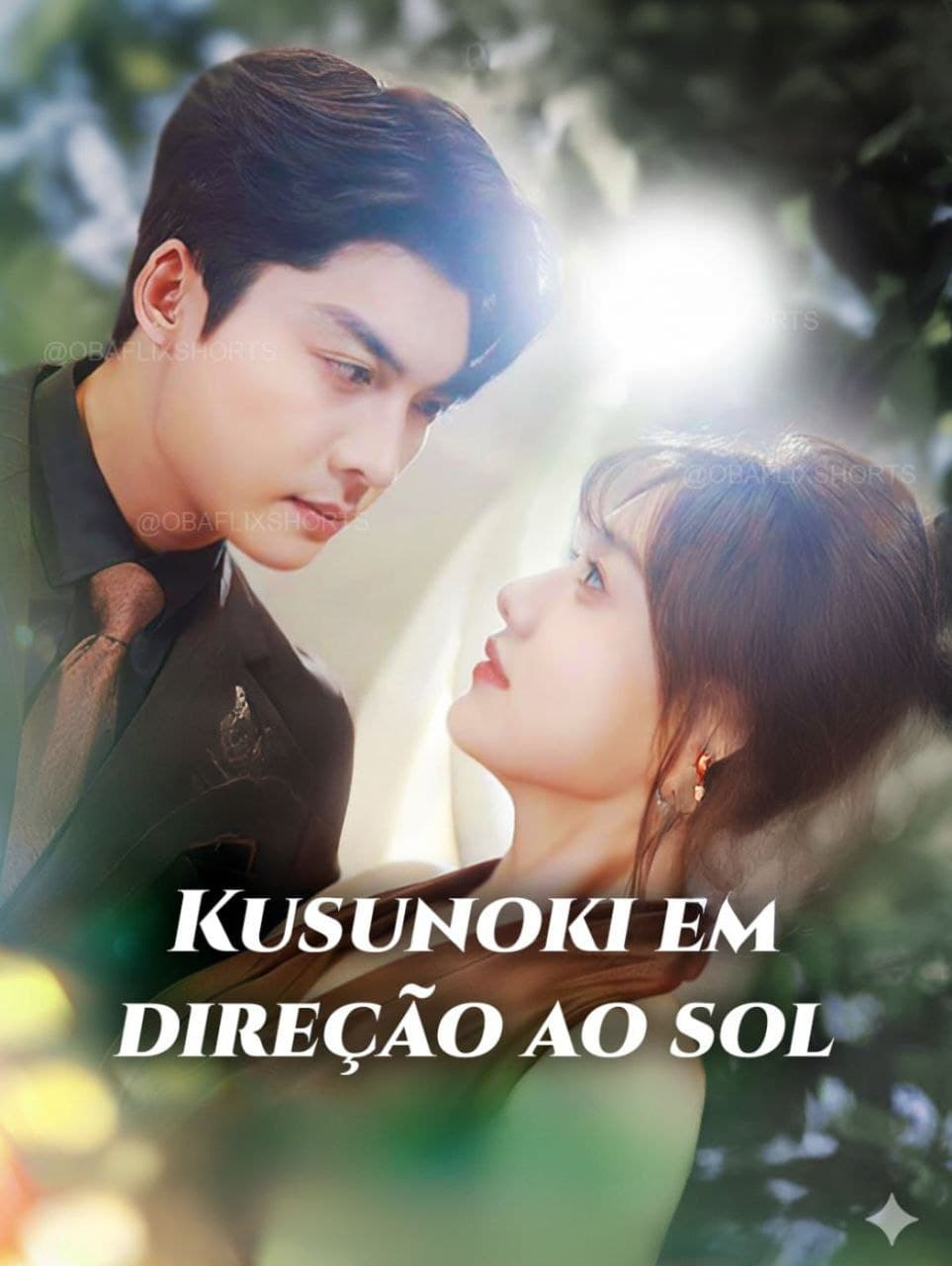 Capa de Kusunoki Em Direção Ao sol